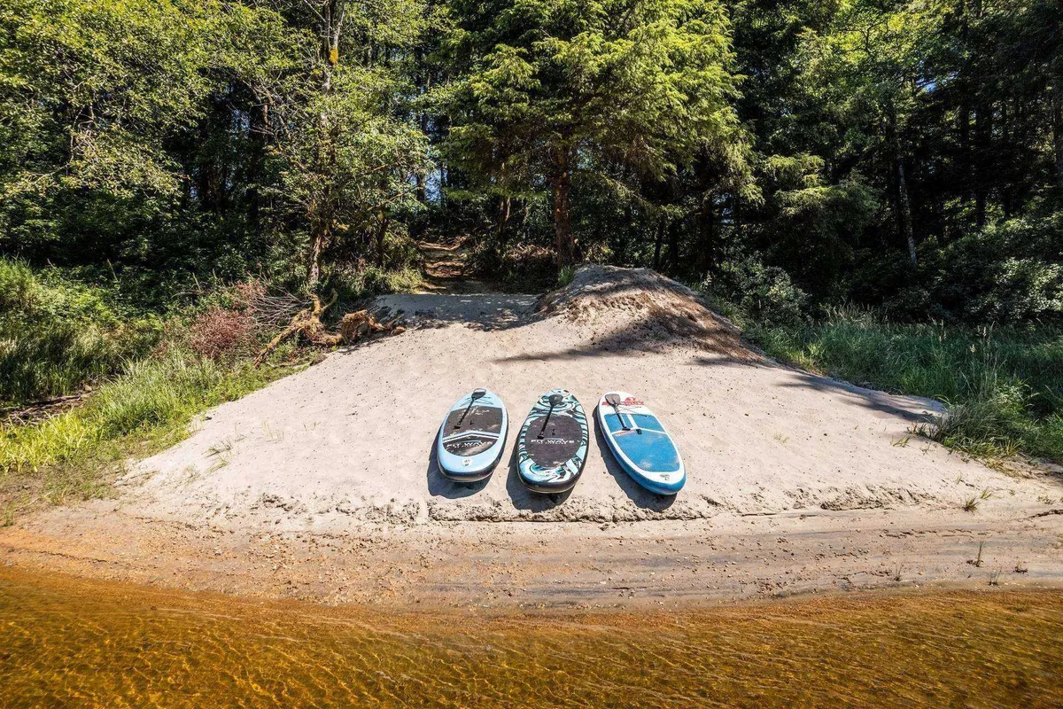 A vibrant sandy beach scene dotted with three paddleboards and lush greenery, poised for lakeside adventure. The mood is relaxed and playful, inviting guests to enjoy paddleboarding or relaxing at the water's edge.