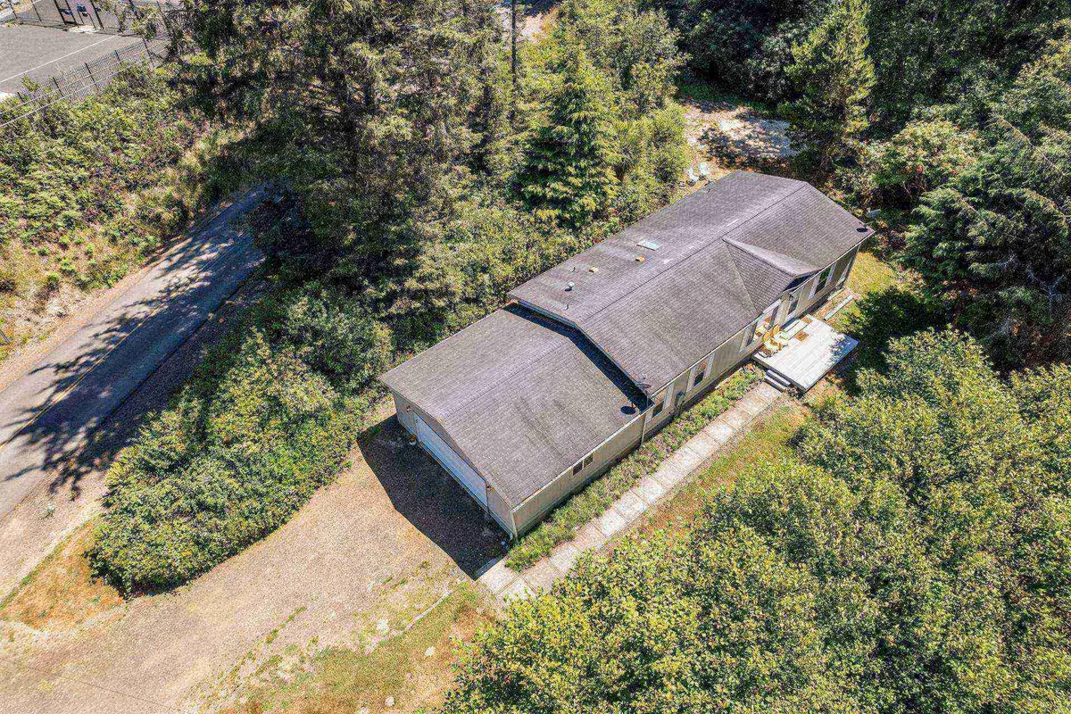 A wide exterior shot of the house, driveway, and surrounding greenery. The scene suggests ample outdoor space, inviting guests and their pets to explore and enjoy nature walks or playtime in a secure, spacious setting.