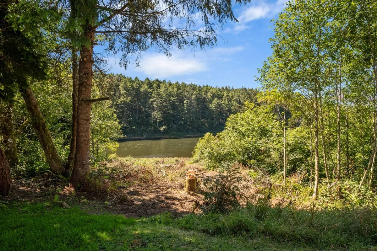 A peaceful lakeside view with calm water, framed by trees and open, cleared land. The natural setting is ideal for lakeside strolls, wildlife watching, or simply enjoying quality time with pets by the water's edge.
