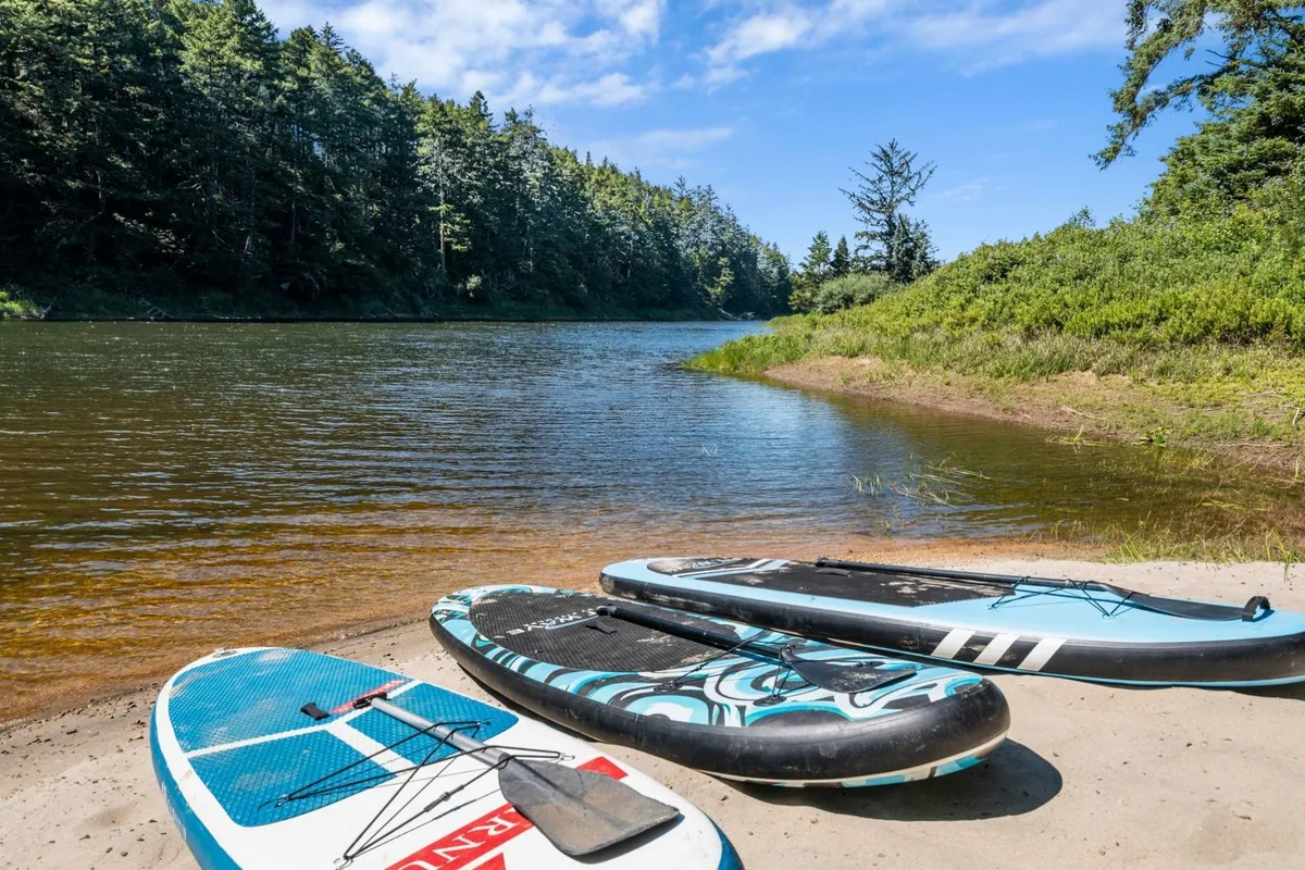 This image features stand-up paddleboards resting on the calm lake, surrounded by verdant greenery. The tranquil water invites adventure, while the shoreline hints at opportunities for launching watercraft or relaxing by the edge.